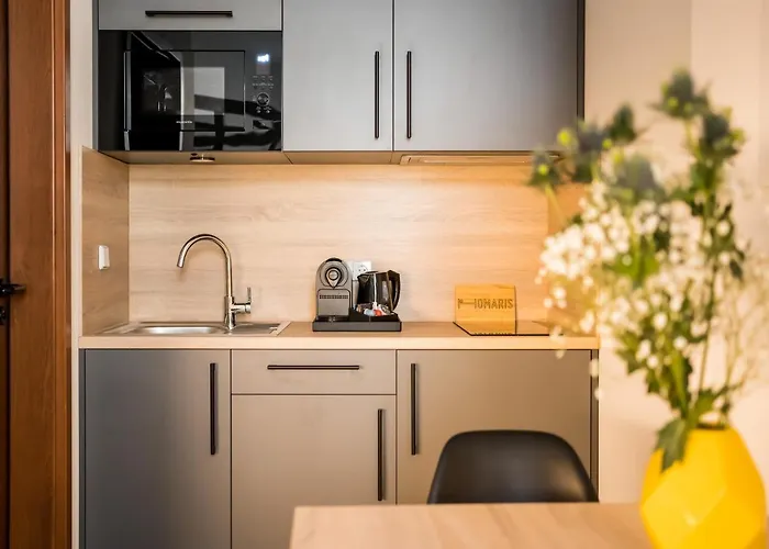 Homaris Boxi Studios Berlin